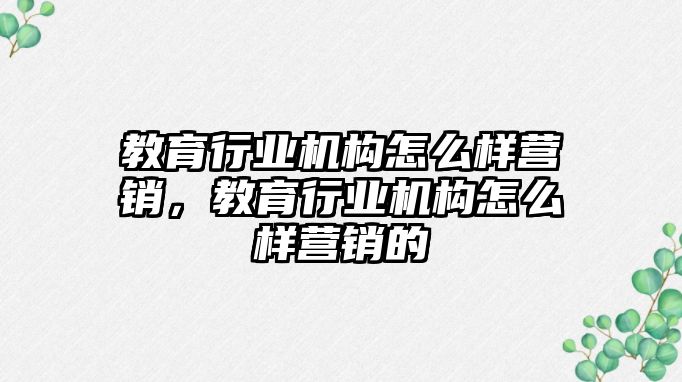 教育行業(yè)機構怎么樣營銷，教育行業(yè)機構怎么樣營銷的