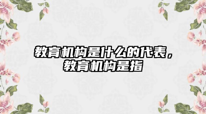 教育機(jī)構(gòu)是什么的代表，教育機(jī)構(gòu)是指