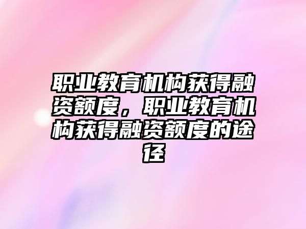 職業(yè)教育機(jī)構(gòu)獲得融資額度，職業(yè)教育機(jī)構(gòu)獲得融資額度的途徑