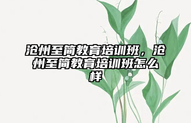 滄州至簡(jiǎn)教育培訓(xùn)班，滄州至簡(jiǎn)教育培訓(xùn)班怎么樣