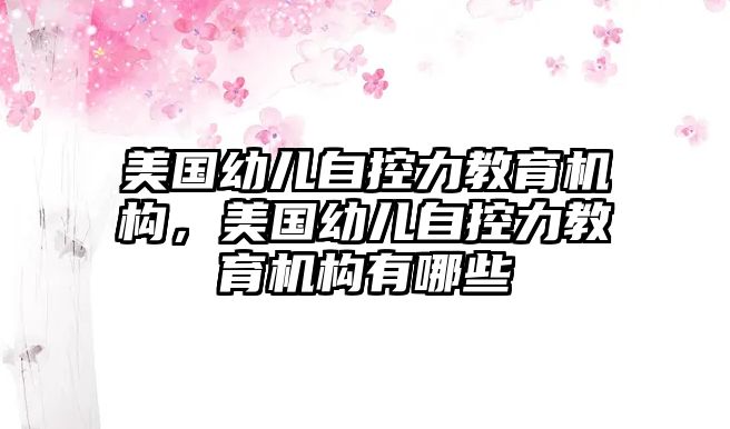 美國(guó)幼兒自控力教育機(jī)構(gòu)，美國(guó)幼兒自控力教育機(jī)構(gòu)有哪些